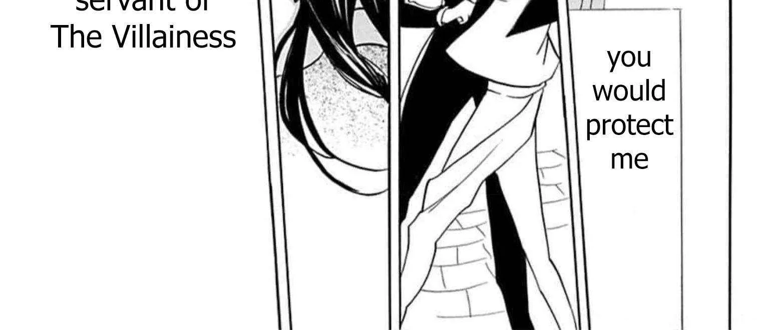 The Reincarnated Villainess