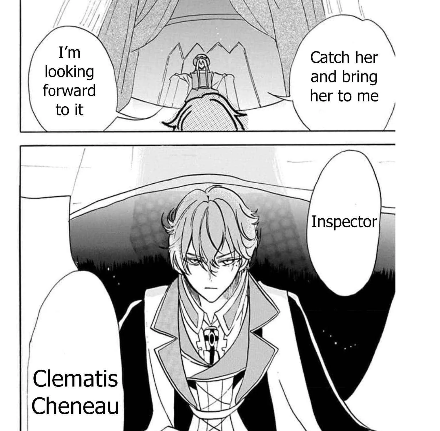 The Reincarnated Villainess