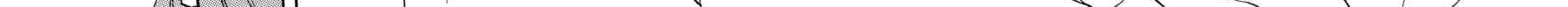 The Reincarnated Villainess