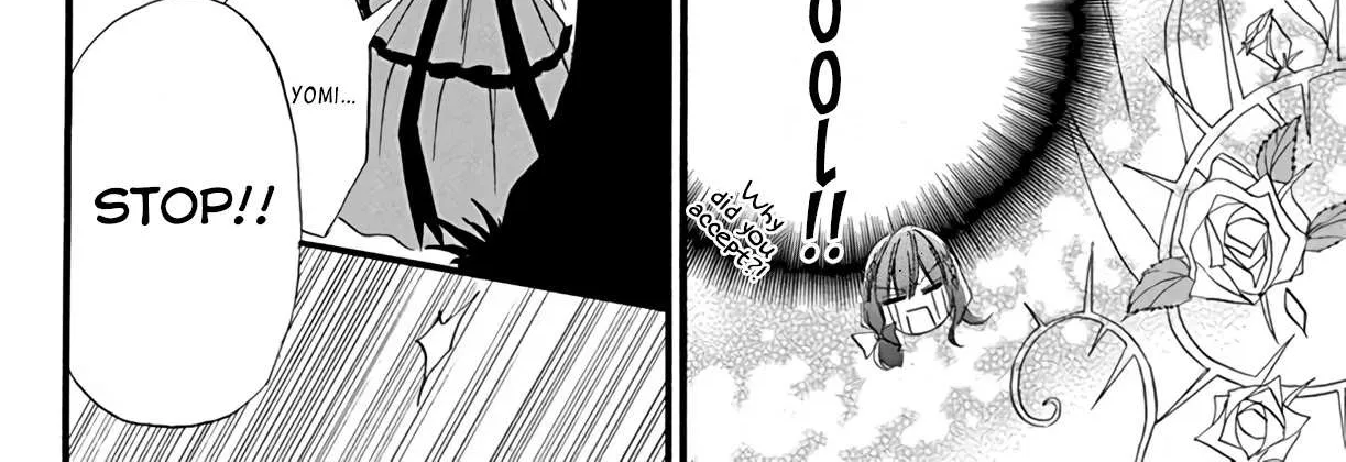 The Reincarnated Villainess