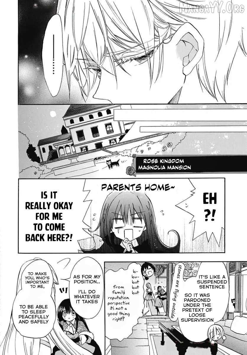 The Reincarnated Villainess