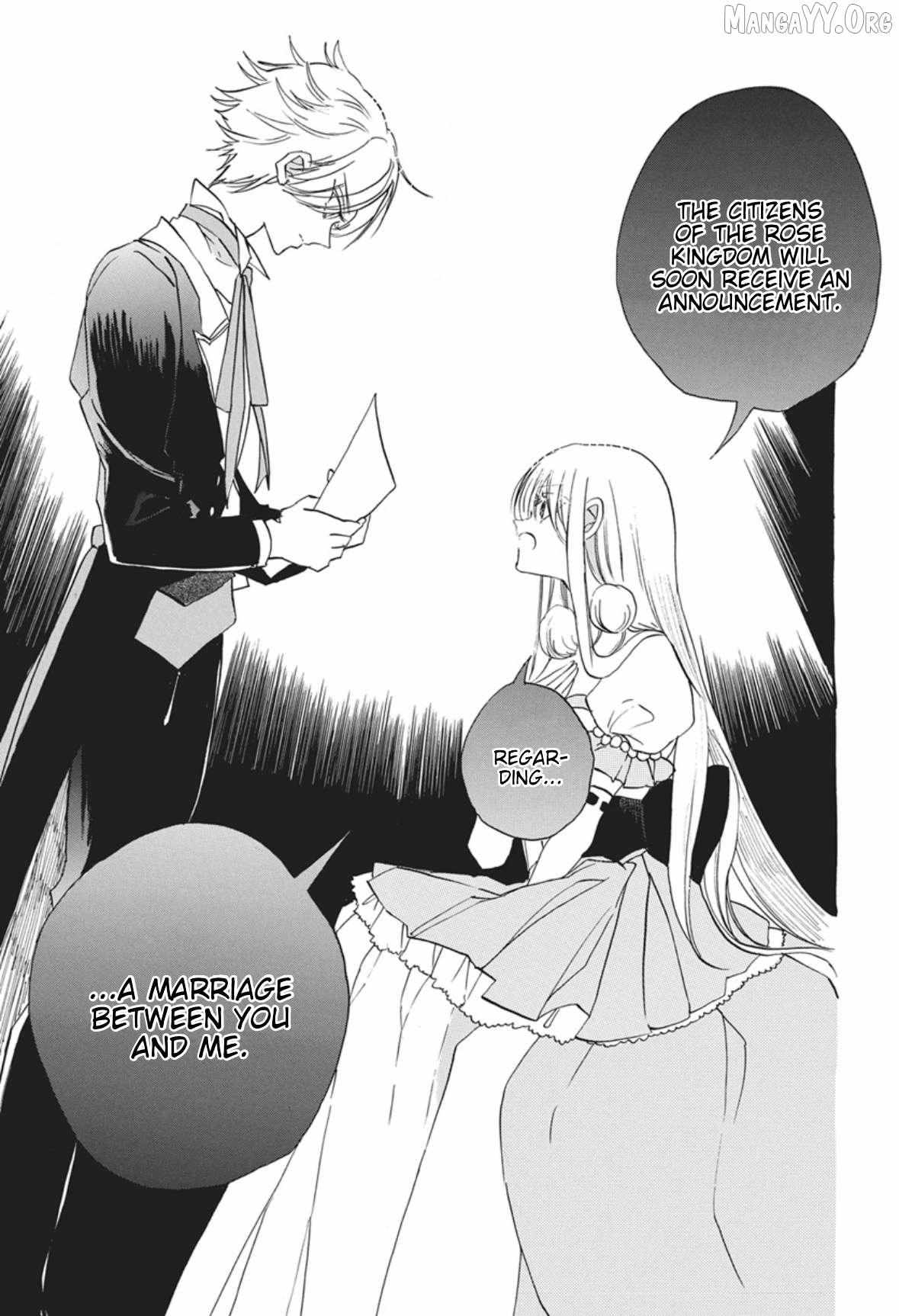 The Reincarnated Villainess