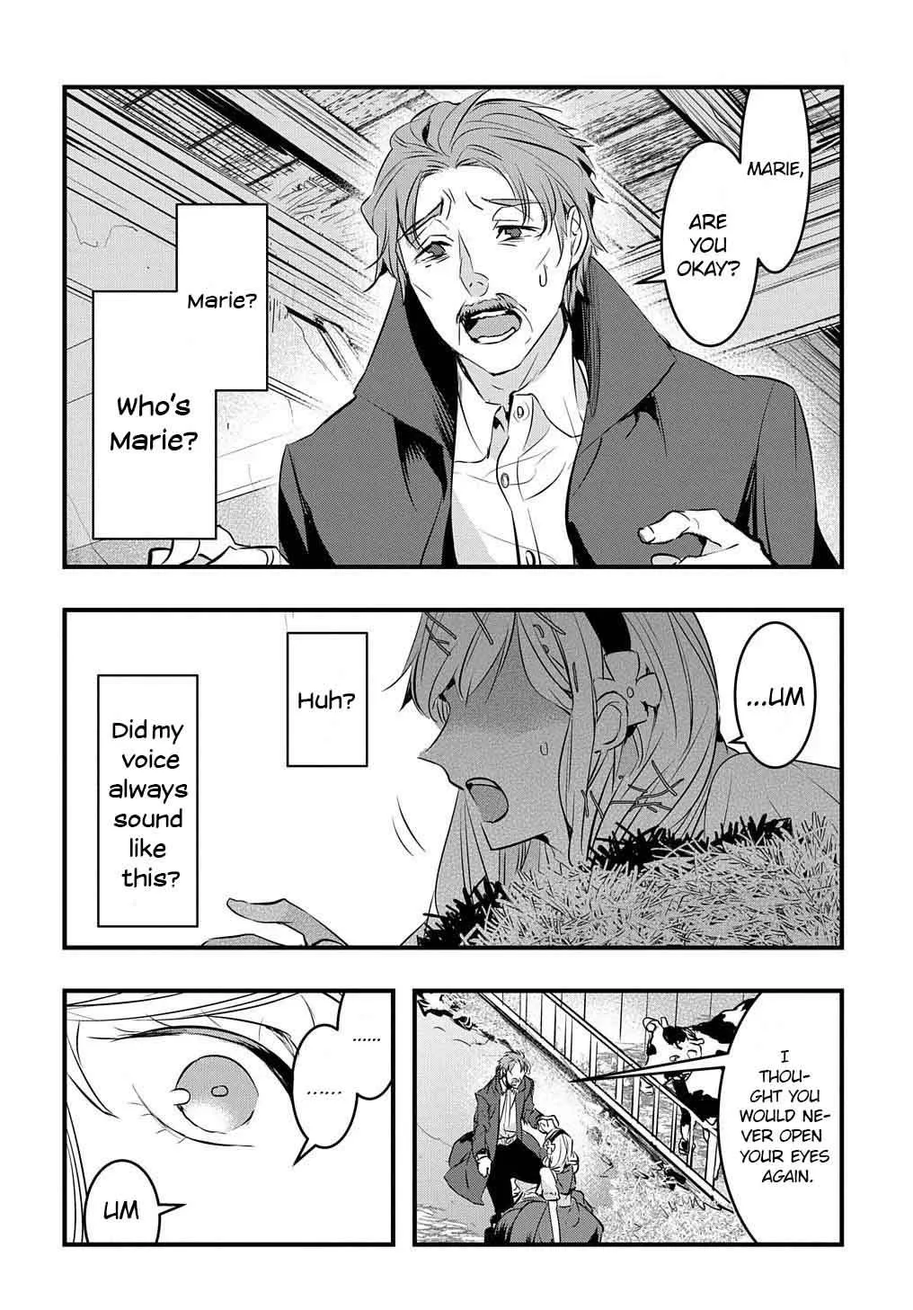 The Reincarnated Villainess Doesn’t Want Revenge Chapter 1 page 17 - 
