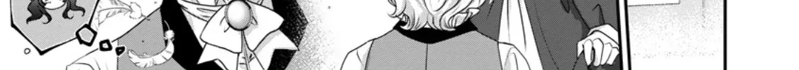 The Reincarnated Villainess