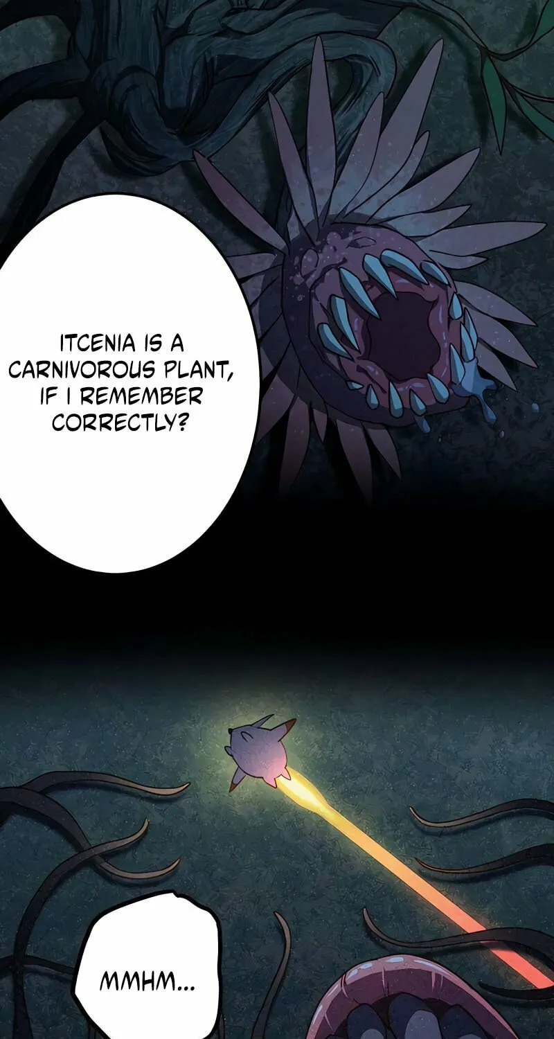 The Reincarnation of the Forbidden Archmage Chapter 10 page 15 - 