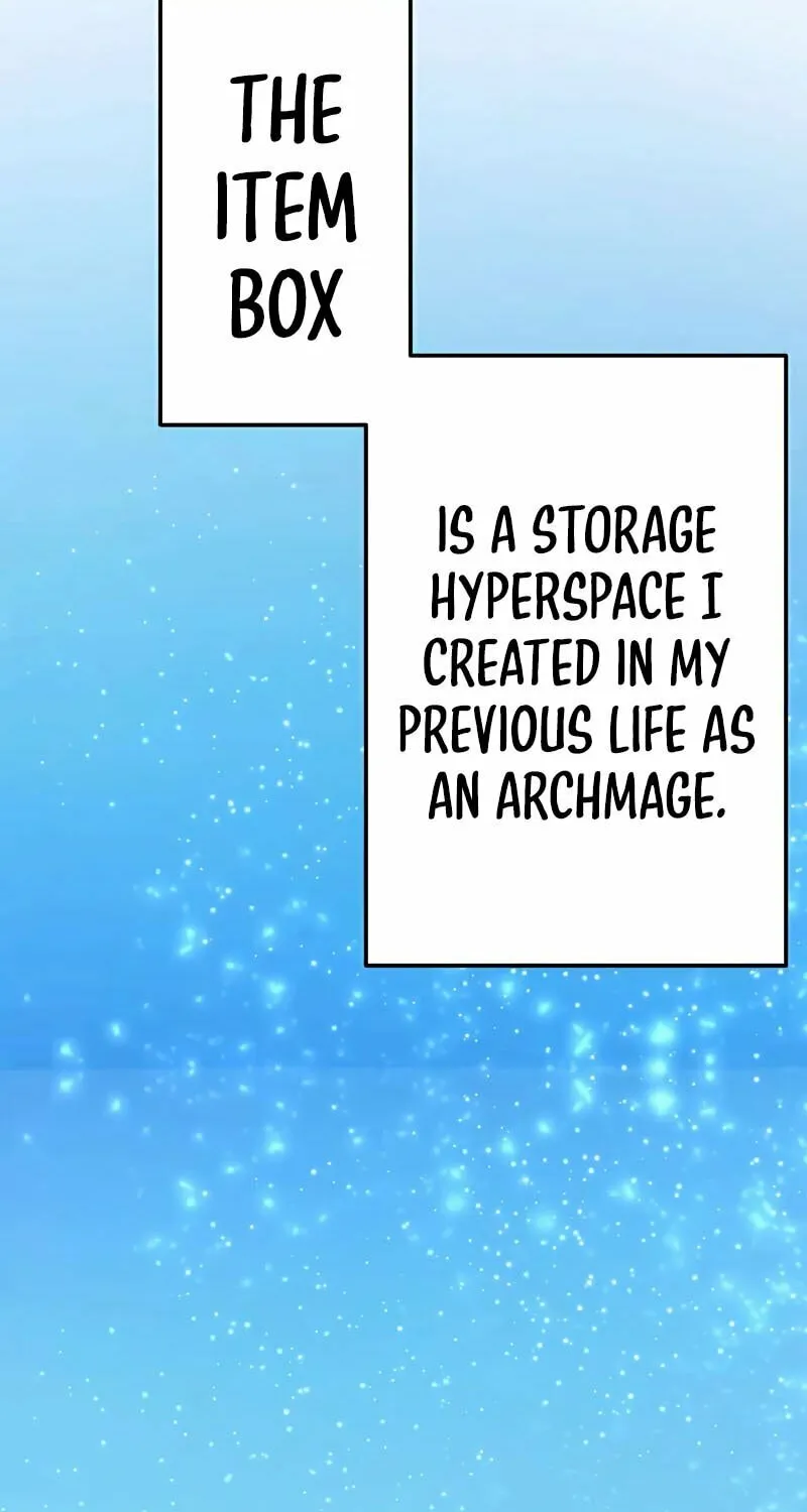 The Reincarnation of the Forbidden Archmage Chapter 4 page 47 - 