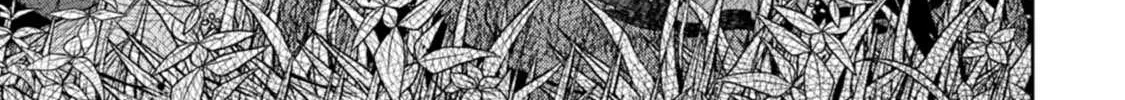The Reincarnation of the Strongest Onmyoji ~ These monsters are too weak compared to my youkai~ Chapter 20.4 page 24 - 