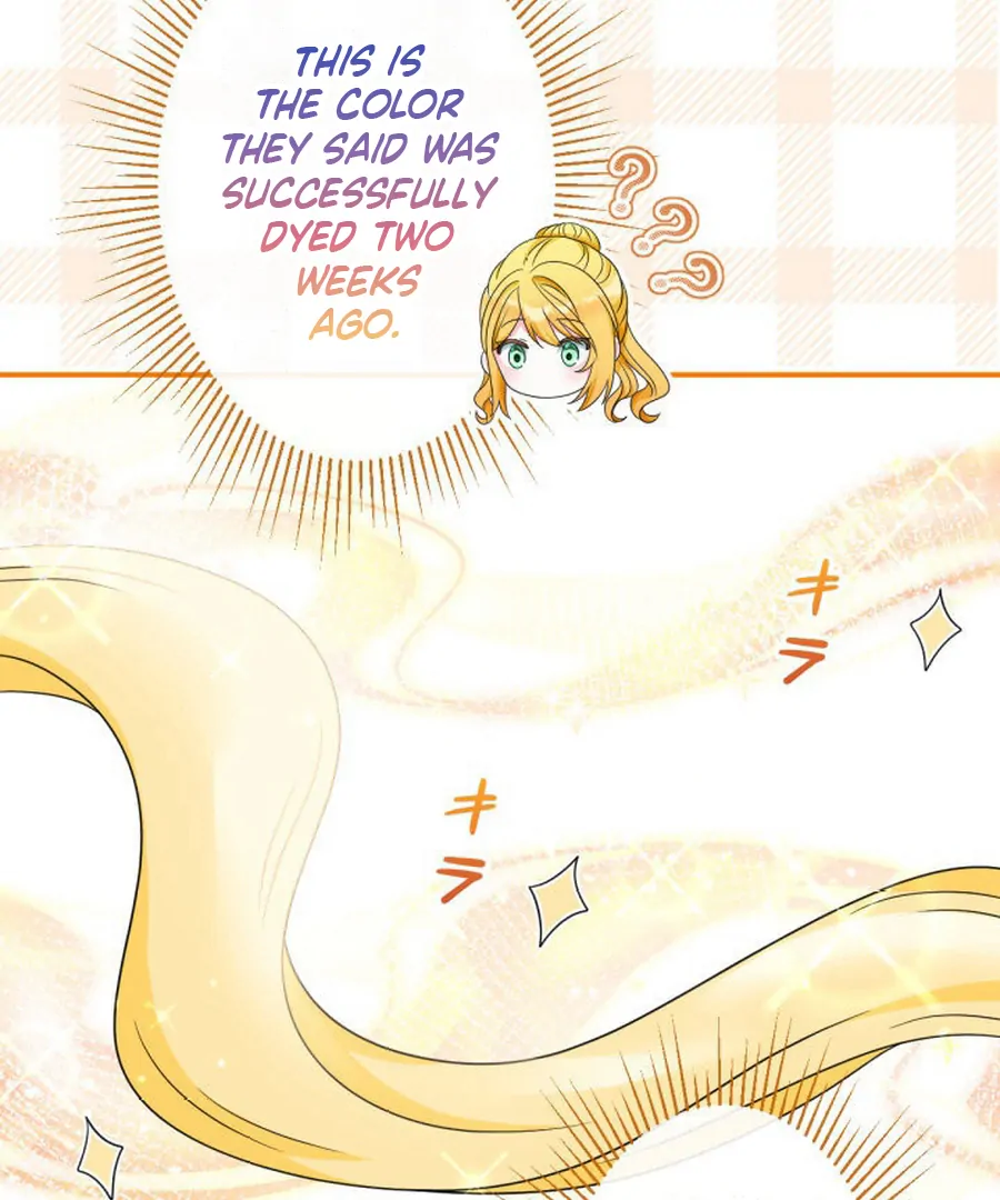 The Retired Villainess Wants to Live Quietly Chapter 16 page 66 - 