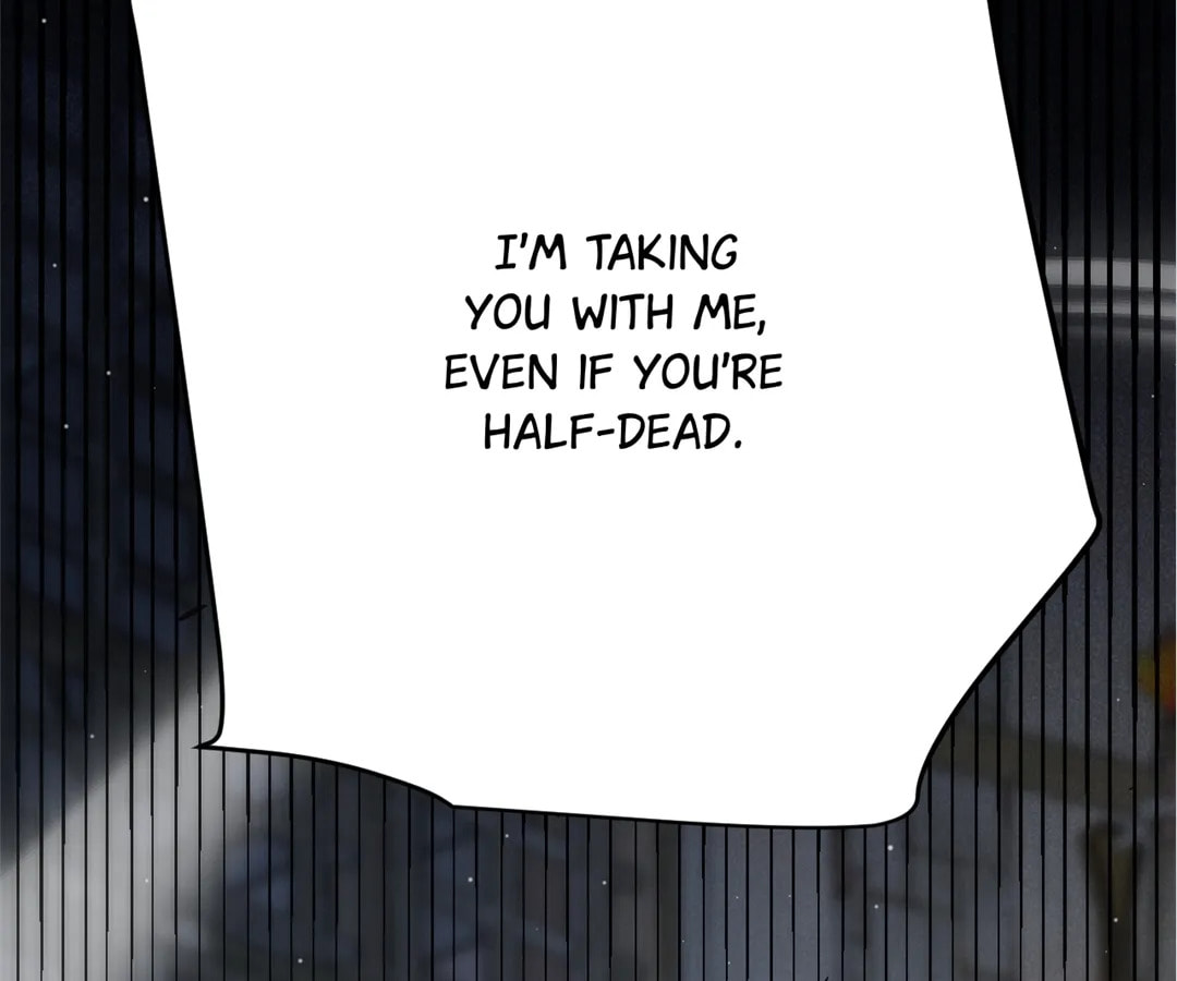 The Return of the Abandoned Son Chapter 316 page 146 - 