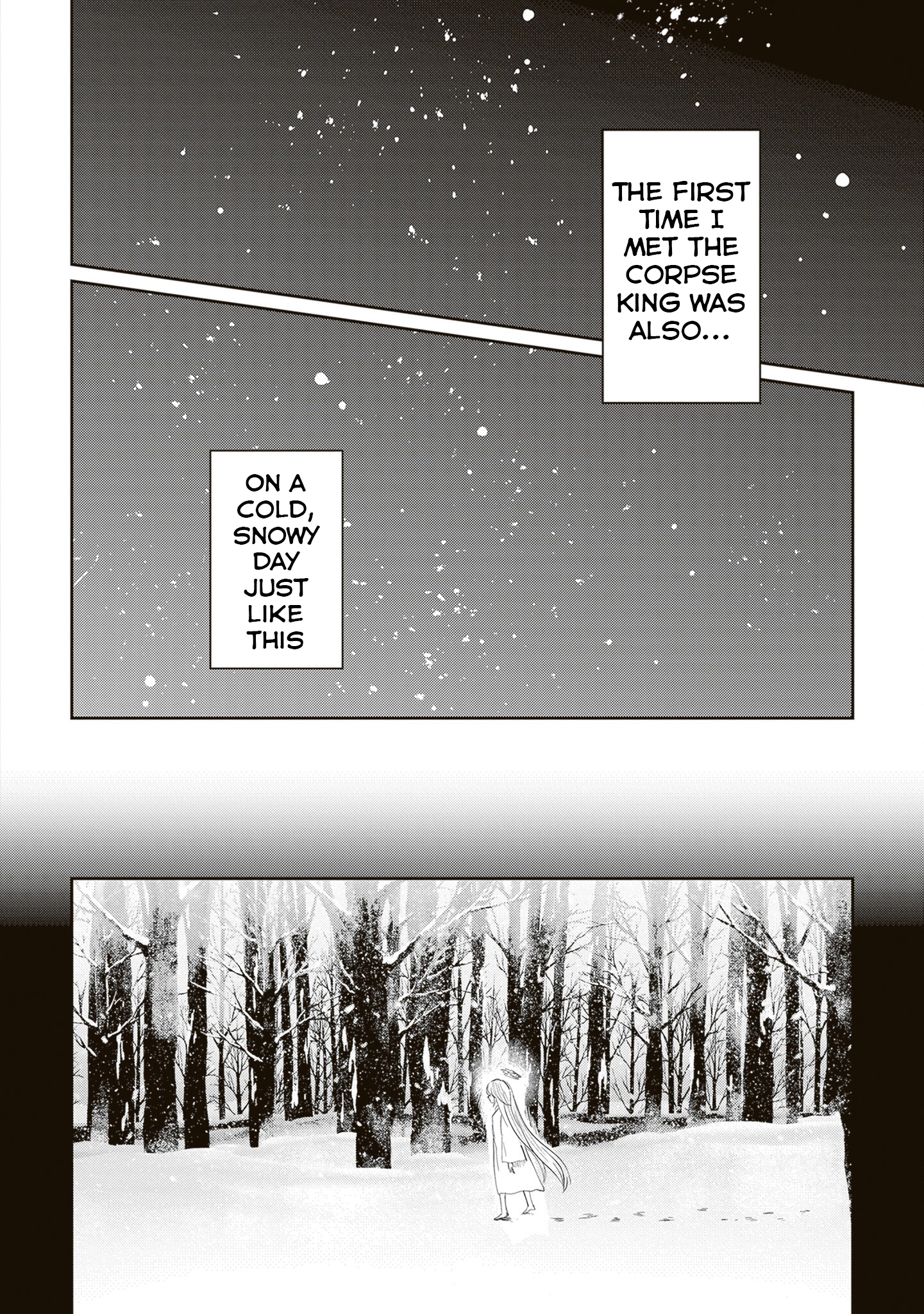 The Return of the Corpse King: I, a Former Hero, Have Been Summoned Back to Isekai to Stop the CHUUNI Secret Society Organized by Me Chapter 9.5 page 4 - 