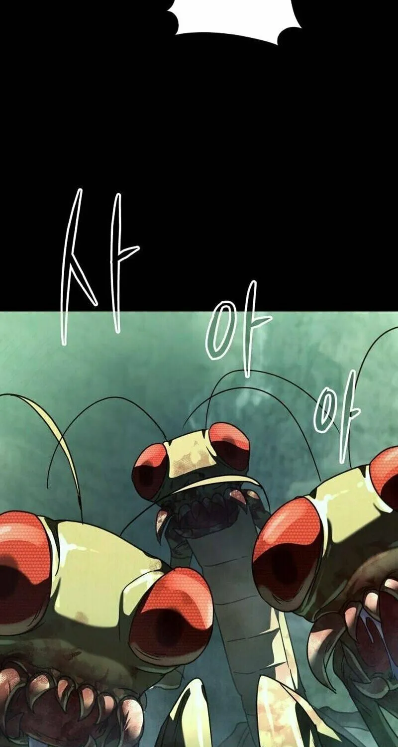 The Returned C-Rank Tank Won
