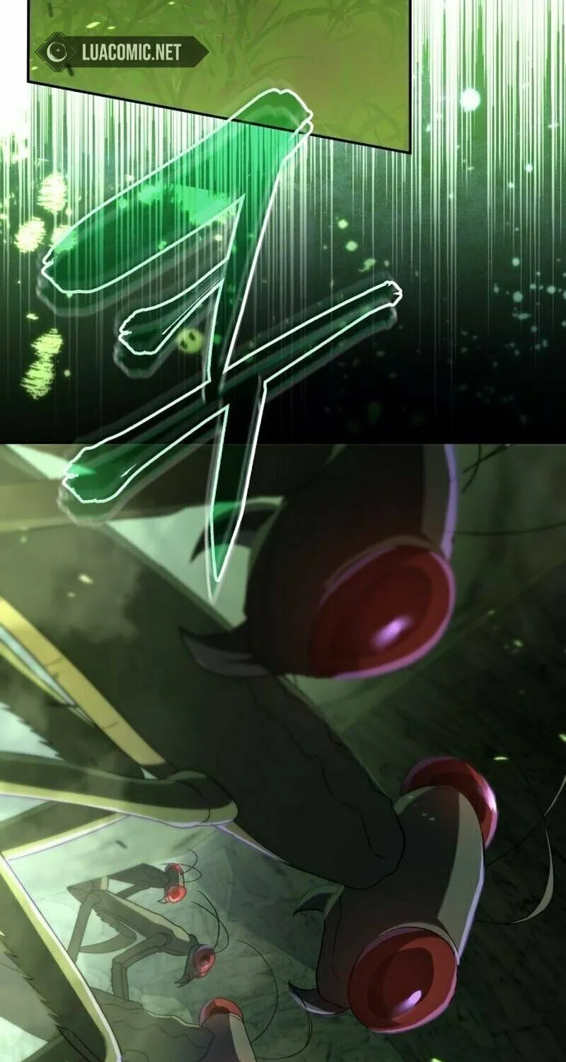 The Returned C-Rank Tank Won
