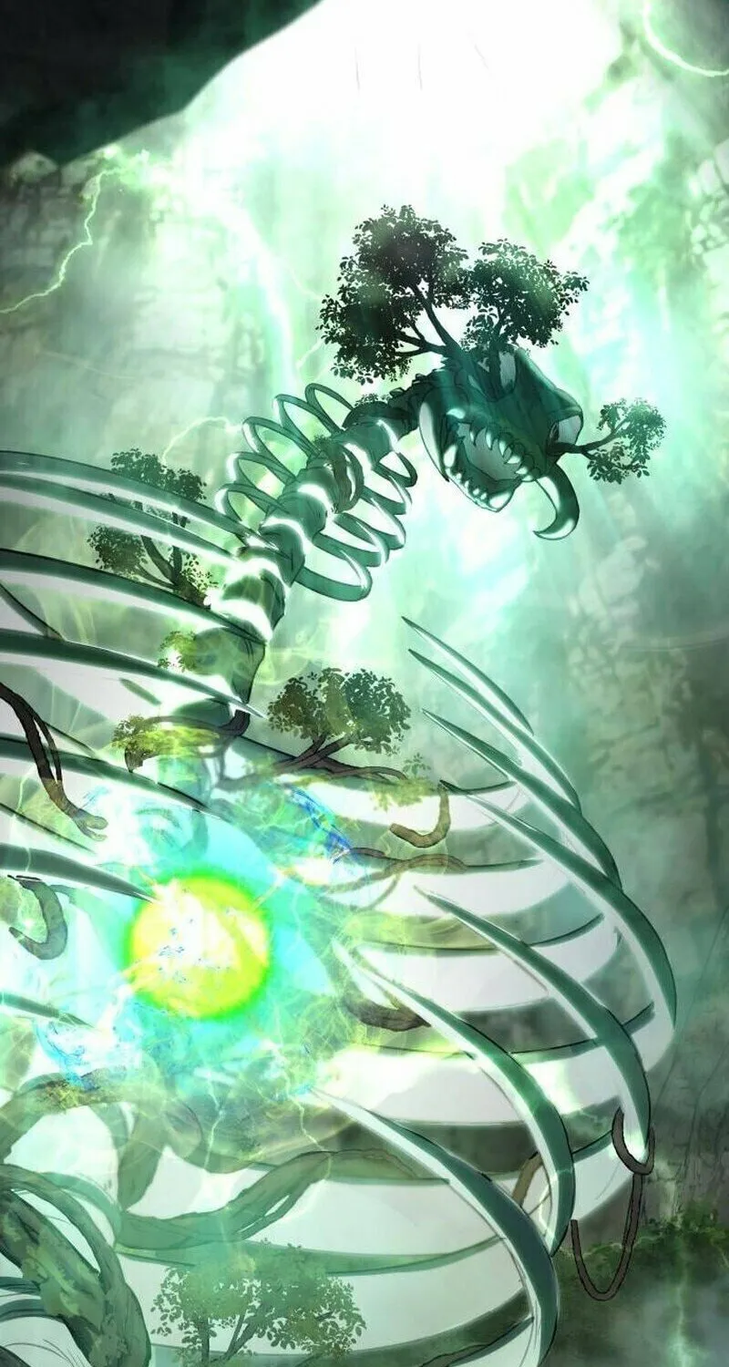 The Returned C-Rank Tank Won