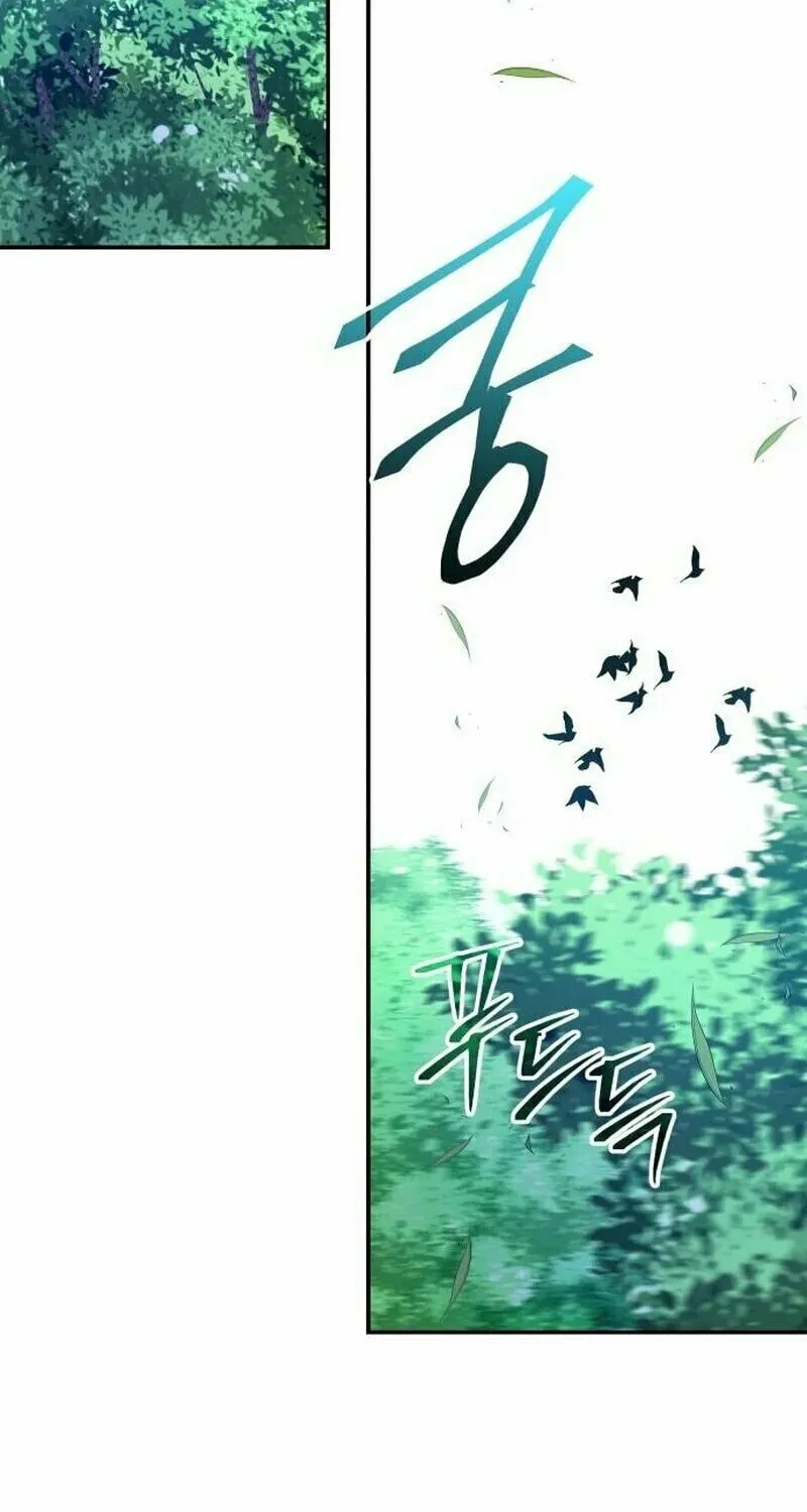 The Returned C-Rank Tank Won