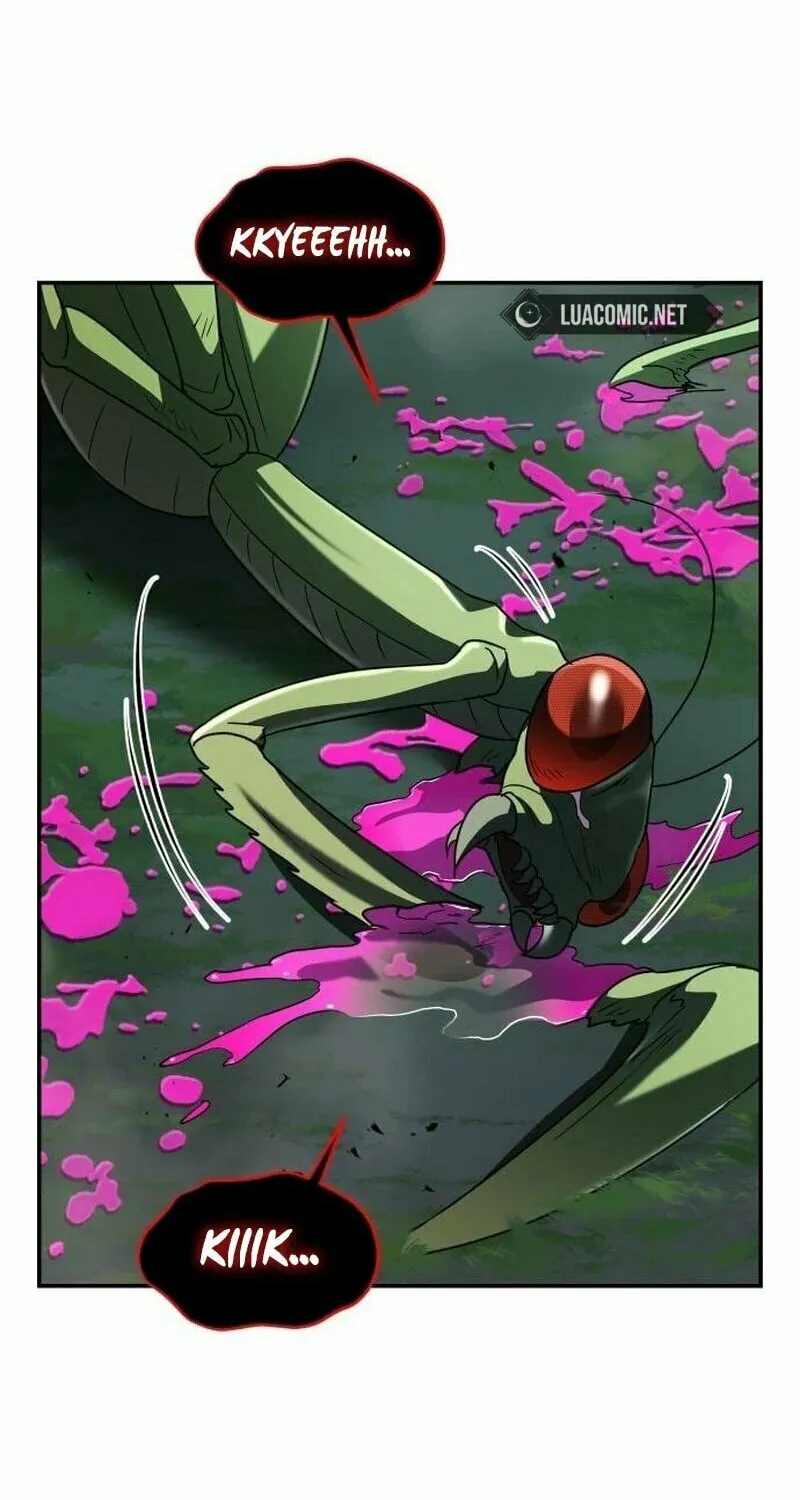 The Returned C-Rank Tank Won