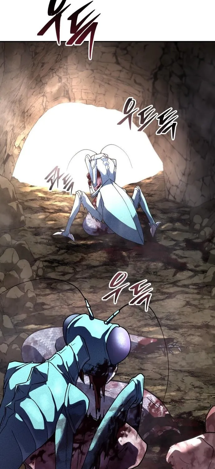 The Returned C-Rank Tank Won