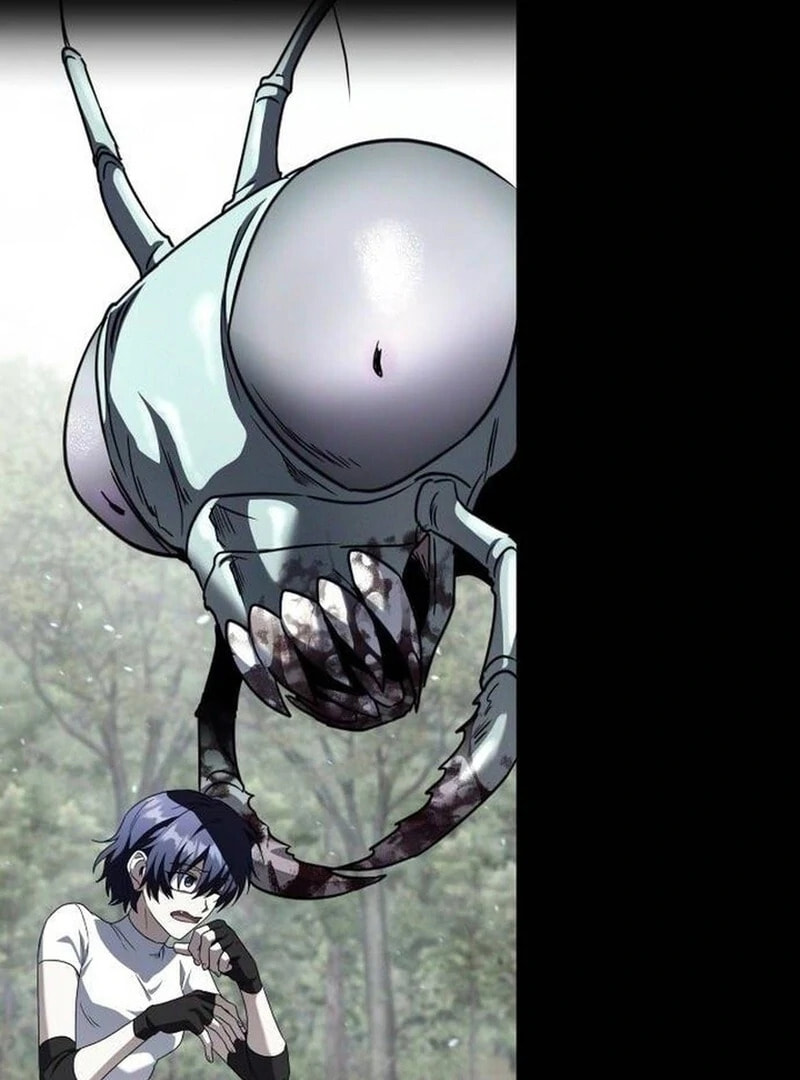 The Returned C-Rank Tank Won