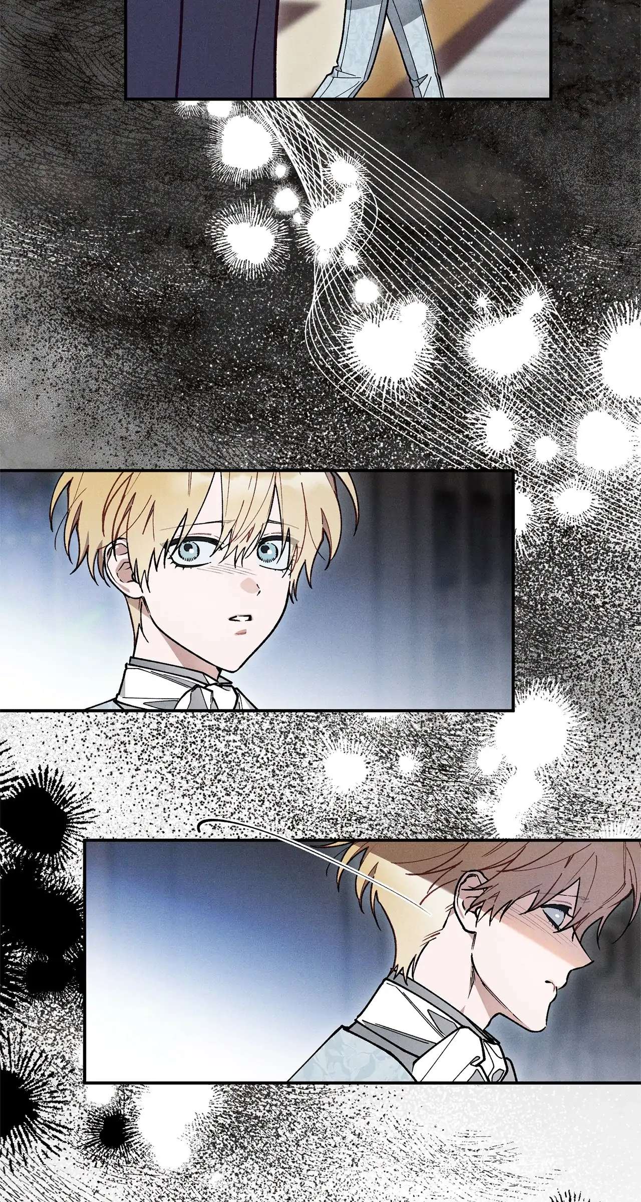 The Rogue Prince Is Secretly an Omega Chapter 11.1 page 5 - 