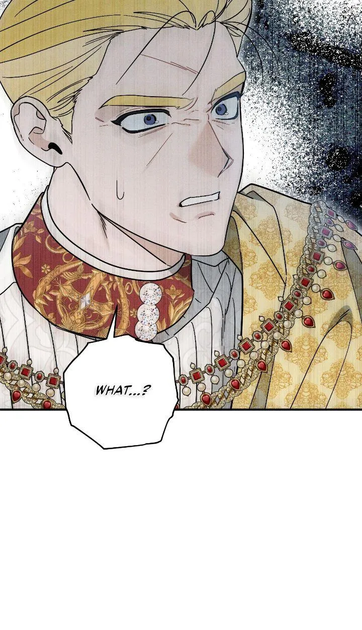 The Rogue Prince Is Secretly an Omega Chapter 13 page 30 - 