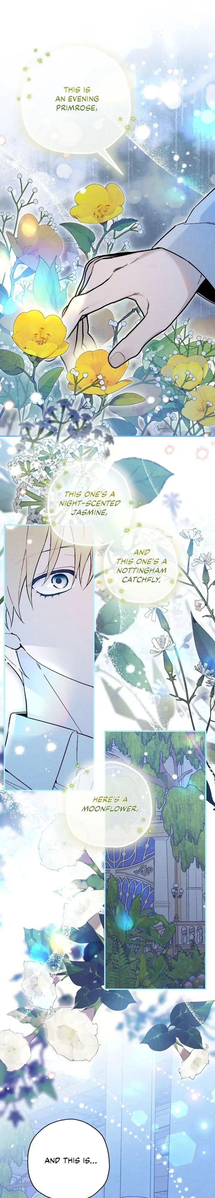 The Rogue Prince Is Secretly an Omega Chapter 15.2 page 9 - 