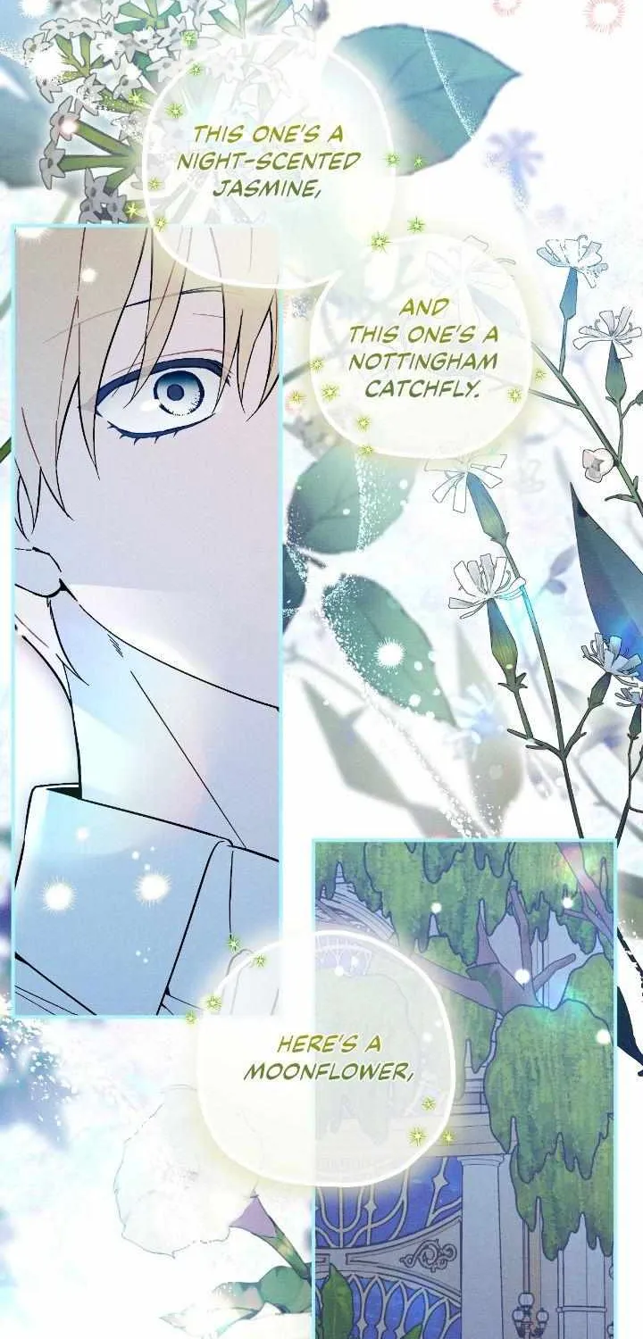 The Rogue Prince Is Secretly an Omega Chapter 15 page 24 - 