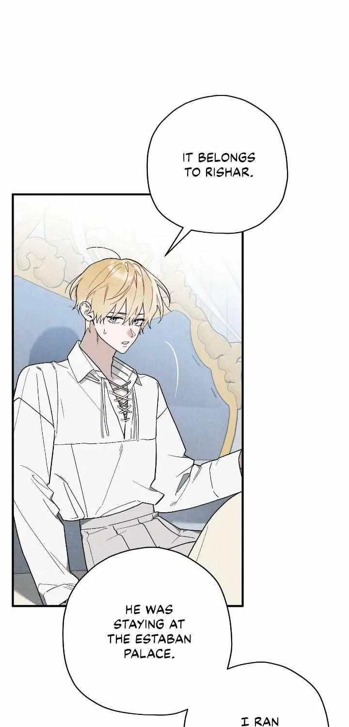 The Rogue Prince Is Secretly an Omega Chapter 16 page 17 - 
