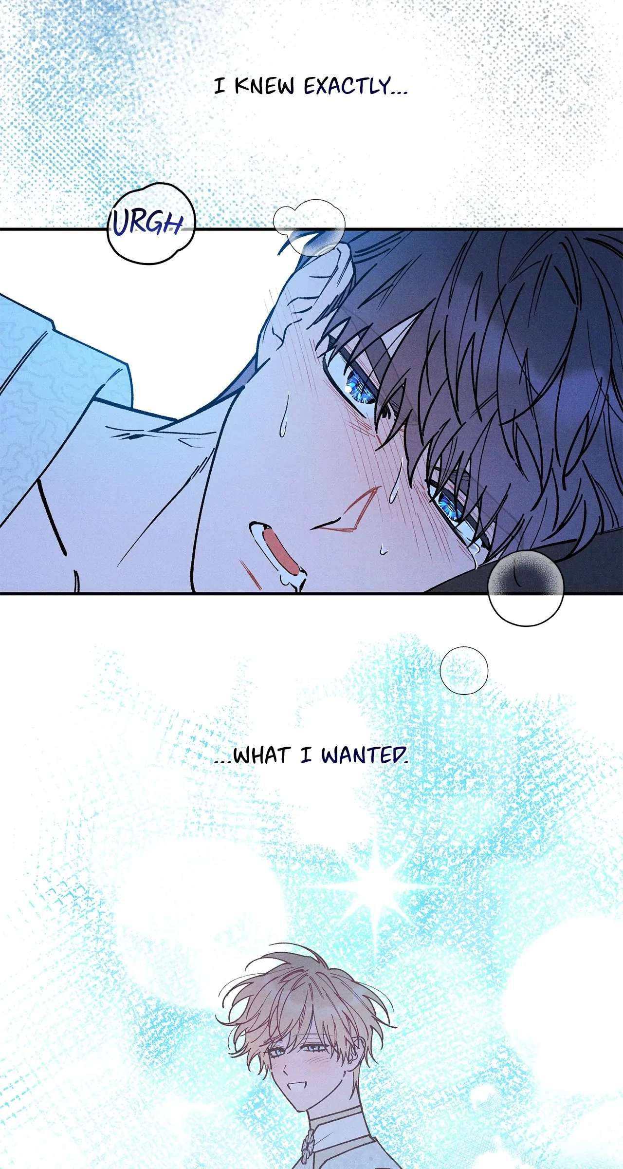 The Rogue Prince Is Secretly an Omega Chapter 17.1 page 43 - 