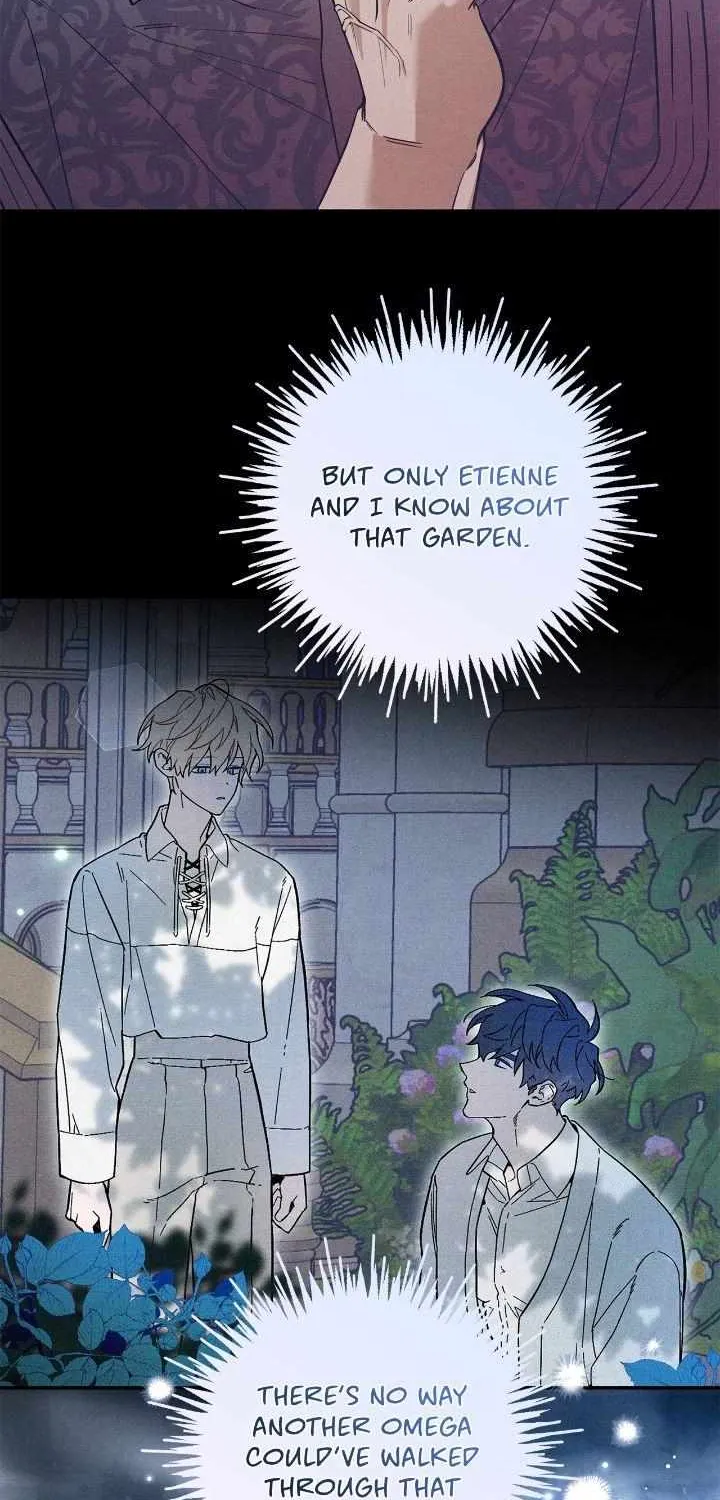 The Rogue Prince Is Secretly an Omega Chapter 17 page 12 - 