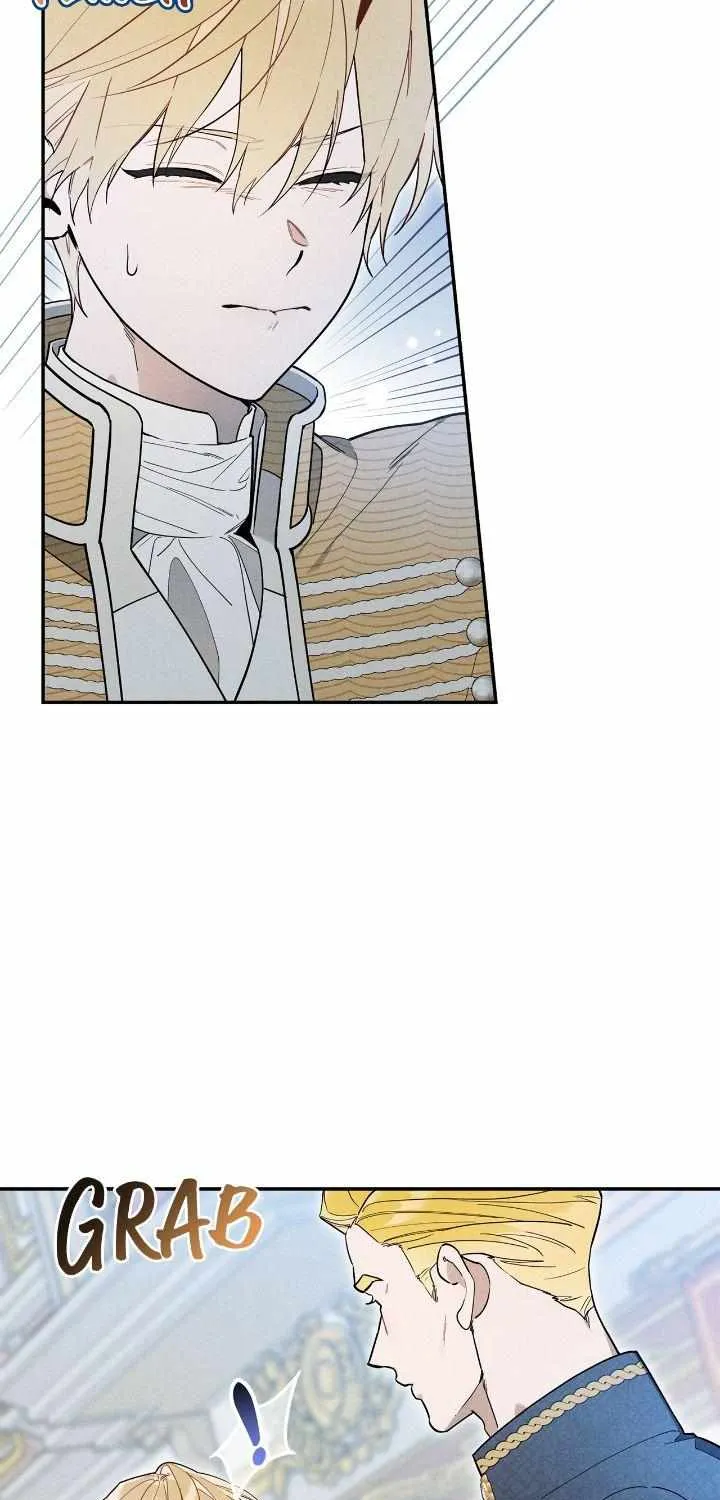 The Rogue Prince Is Secretly an Omega Chapter 17 page 27 - 