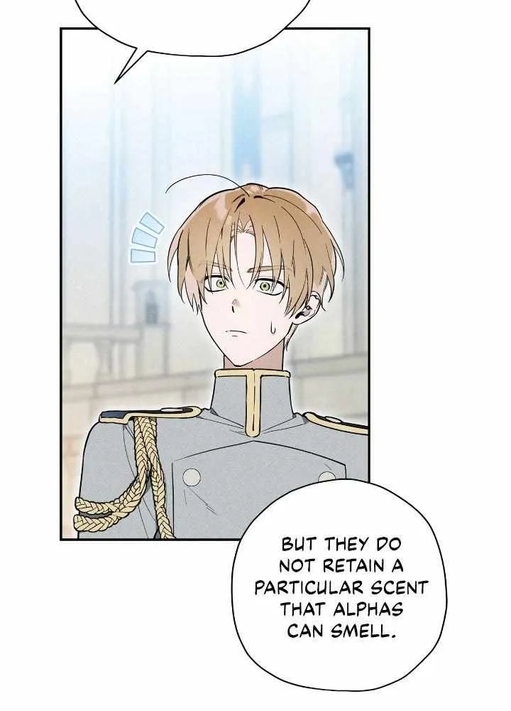The Rogue Prince Is Secretly an Omega Chapter 17 page 8 - 