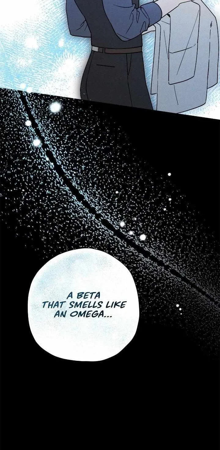 The Rogue Prince Is Secretly an Omega Chapter 19 page 65 - 