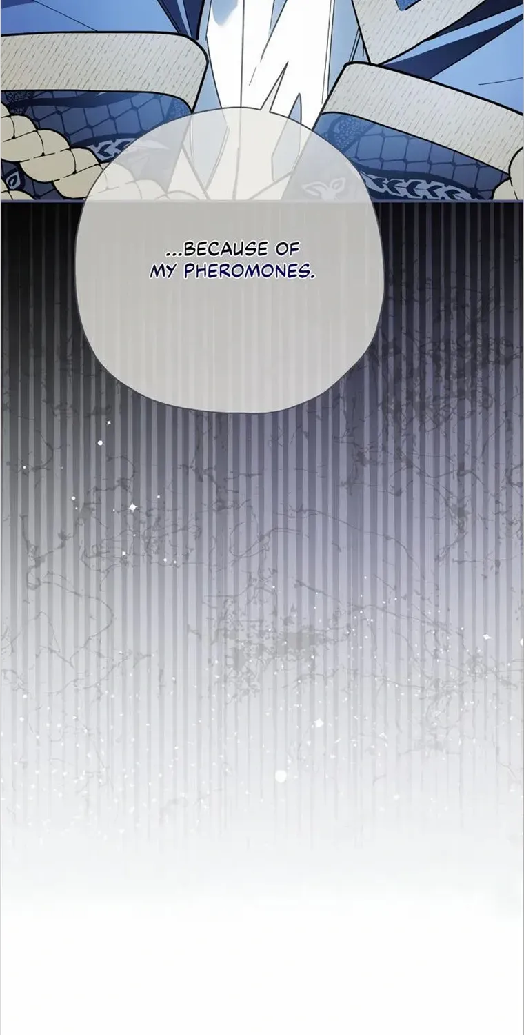 The Rogue Prince Is Secretly an Omega Chapter 27 page 17 - 