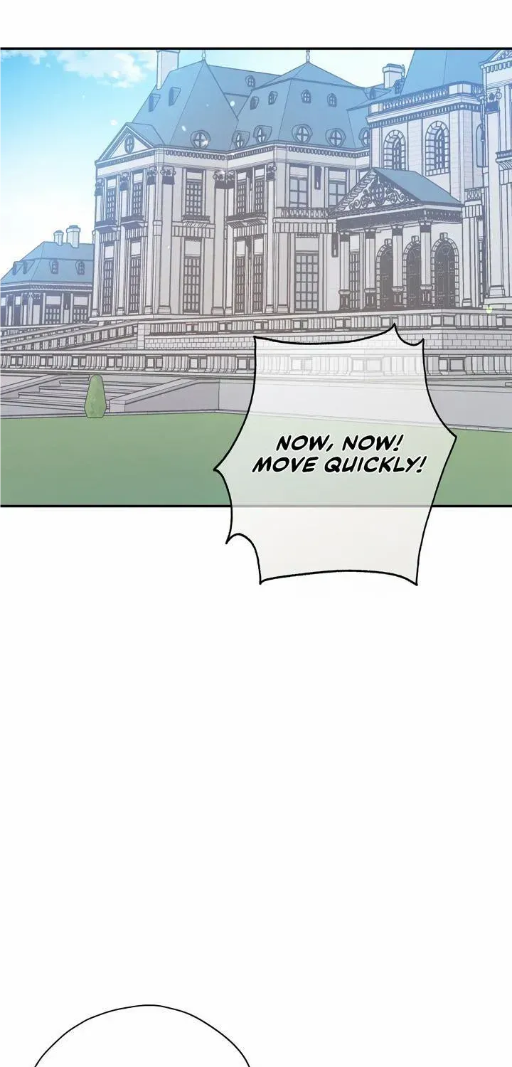 The Rogue Prince Is Secretly an Omega Chapter 28 page 64 - 