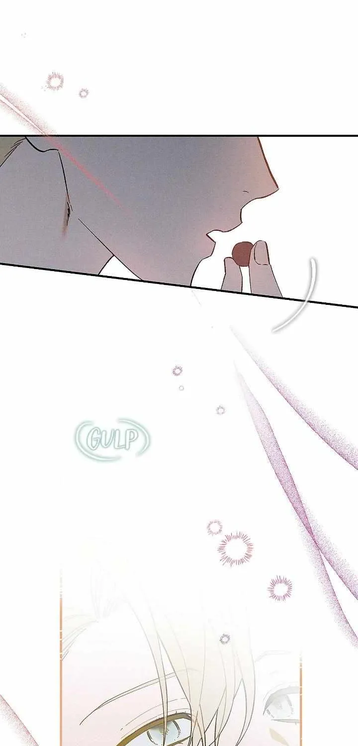 The Rogue Prince Is Secretly an Omega Chapter 3 page 52 - 