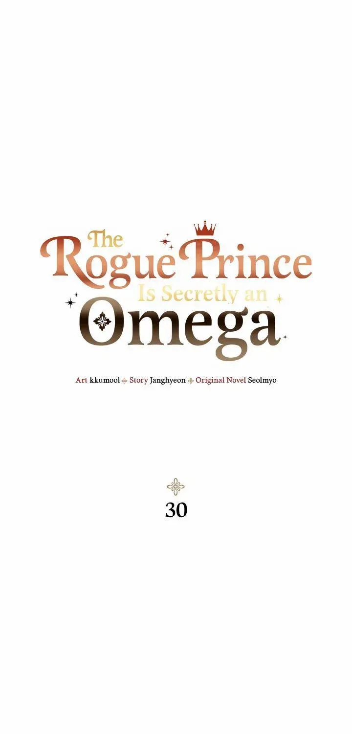 The Rogue Prince Is Secretly an Omega Chapter 30 page 2 - 