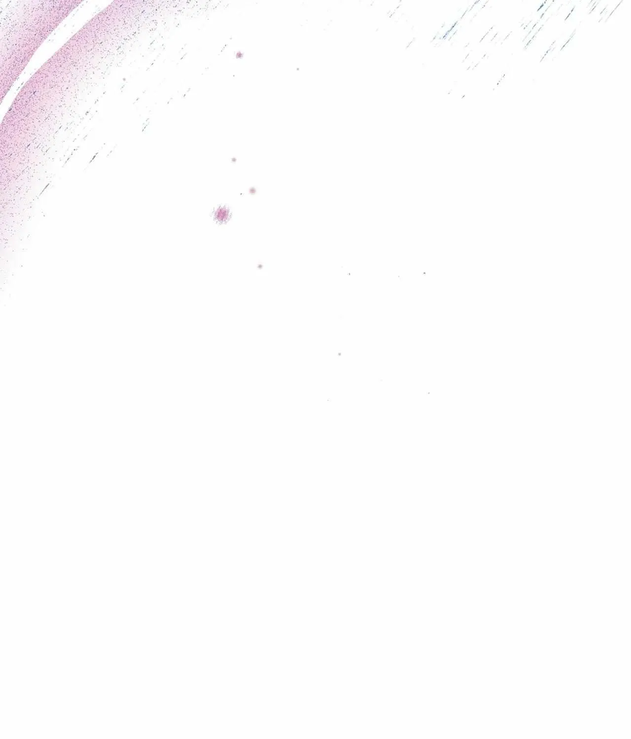 The Rogue Prince Is Secretly an Omega Chapter 44 page 123 - 