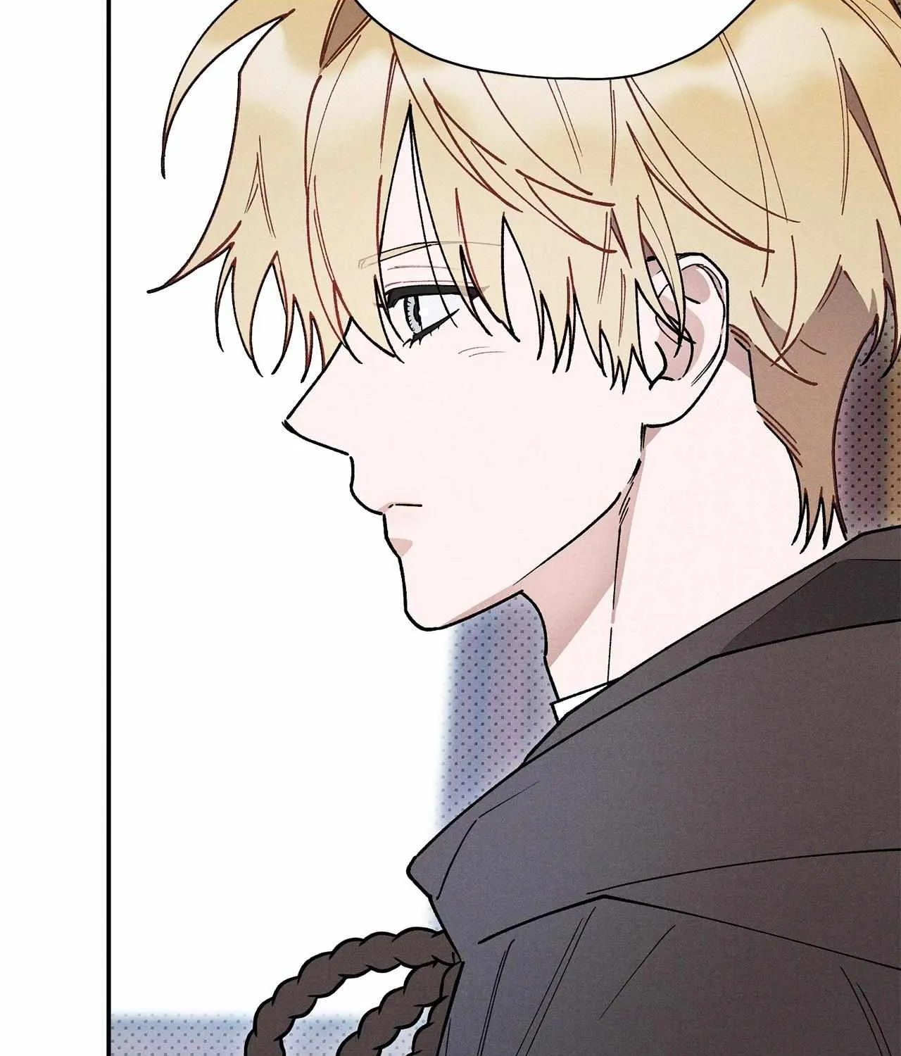 The Rogue Prince Is Secretly an Omega Chapter 48 page 28 - 