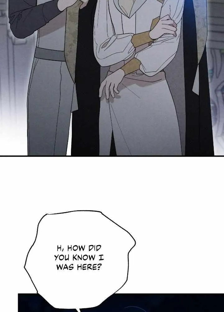 The Rogue Prince Is Secretly an Omega Chapter 6 page 30 - 