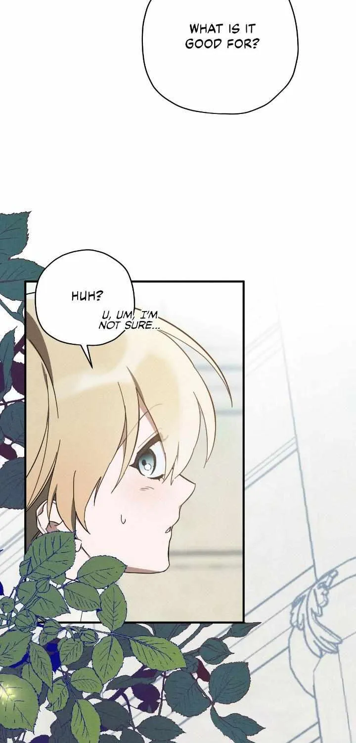 The Rogue Prince Is Secretly an Omega Chapter 8 page 26 - 