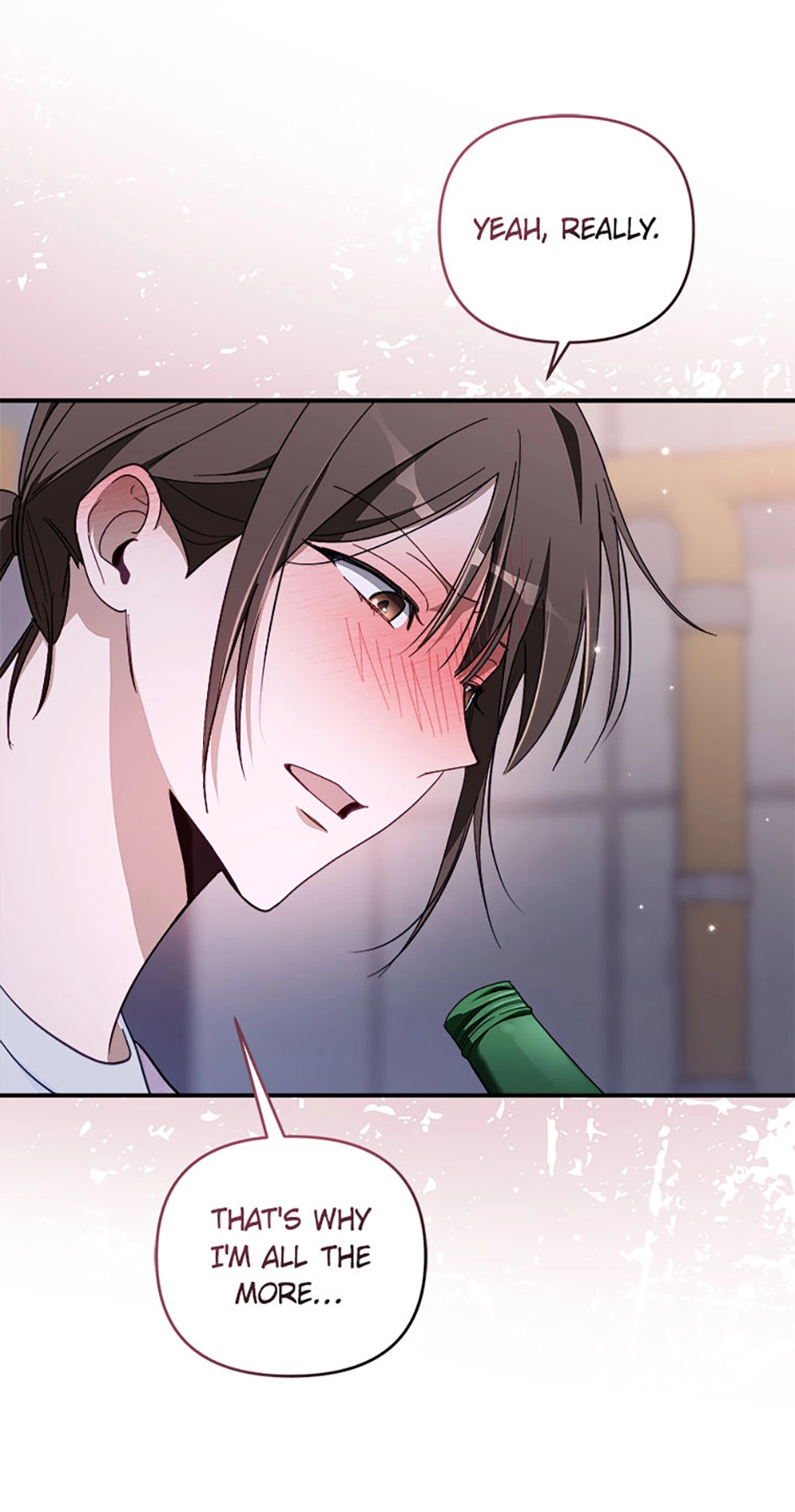 The Rogue Producer Survives as an Idol Chapter 24 page 27 - 