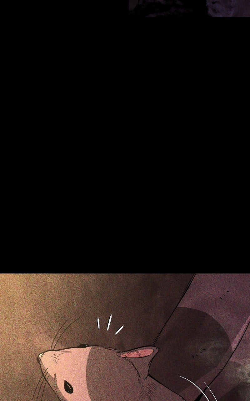 The Roguish Guardin a Medieval Fantasy Episode 14 page 6 - 