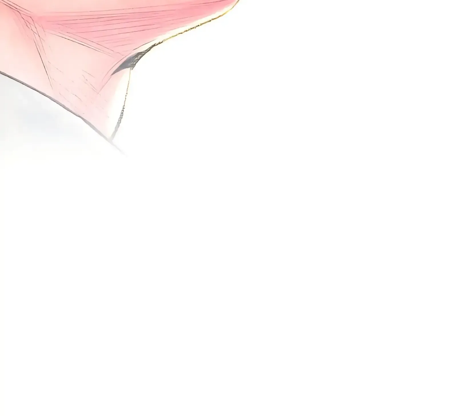 The Royal Bridegroom Chapter 30 page 89 - 