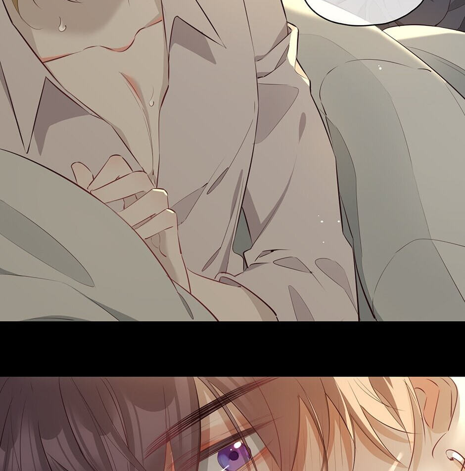 The Royal Prince