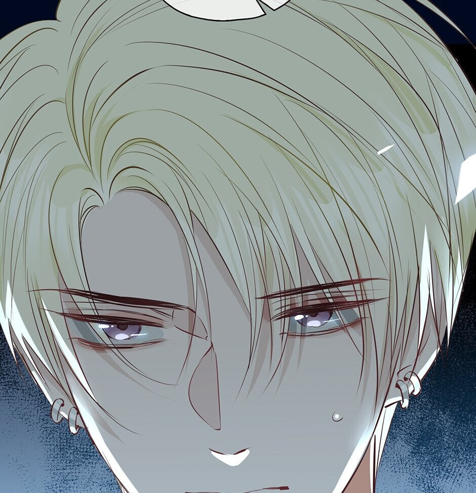 The Royal Prince