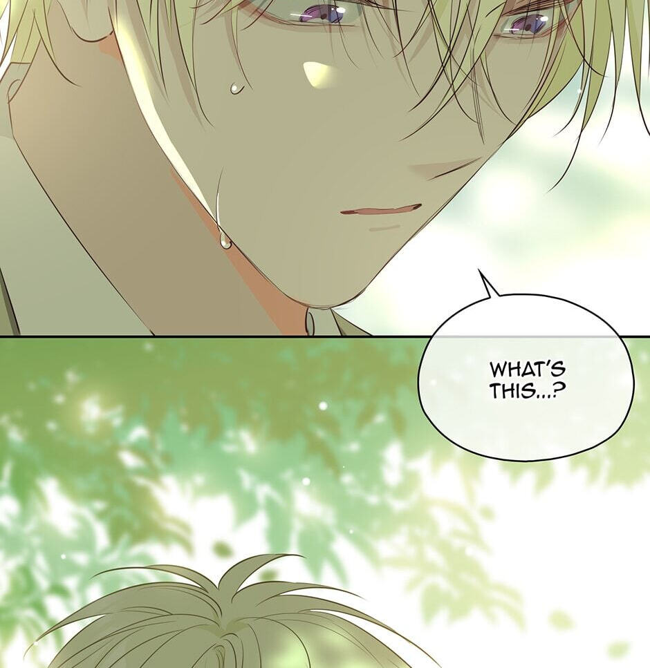 The Royal Prince