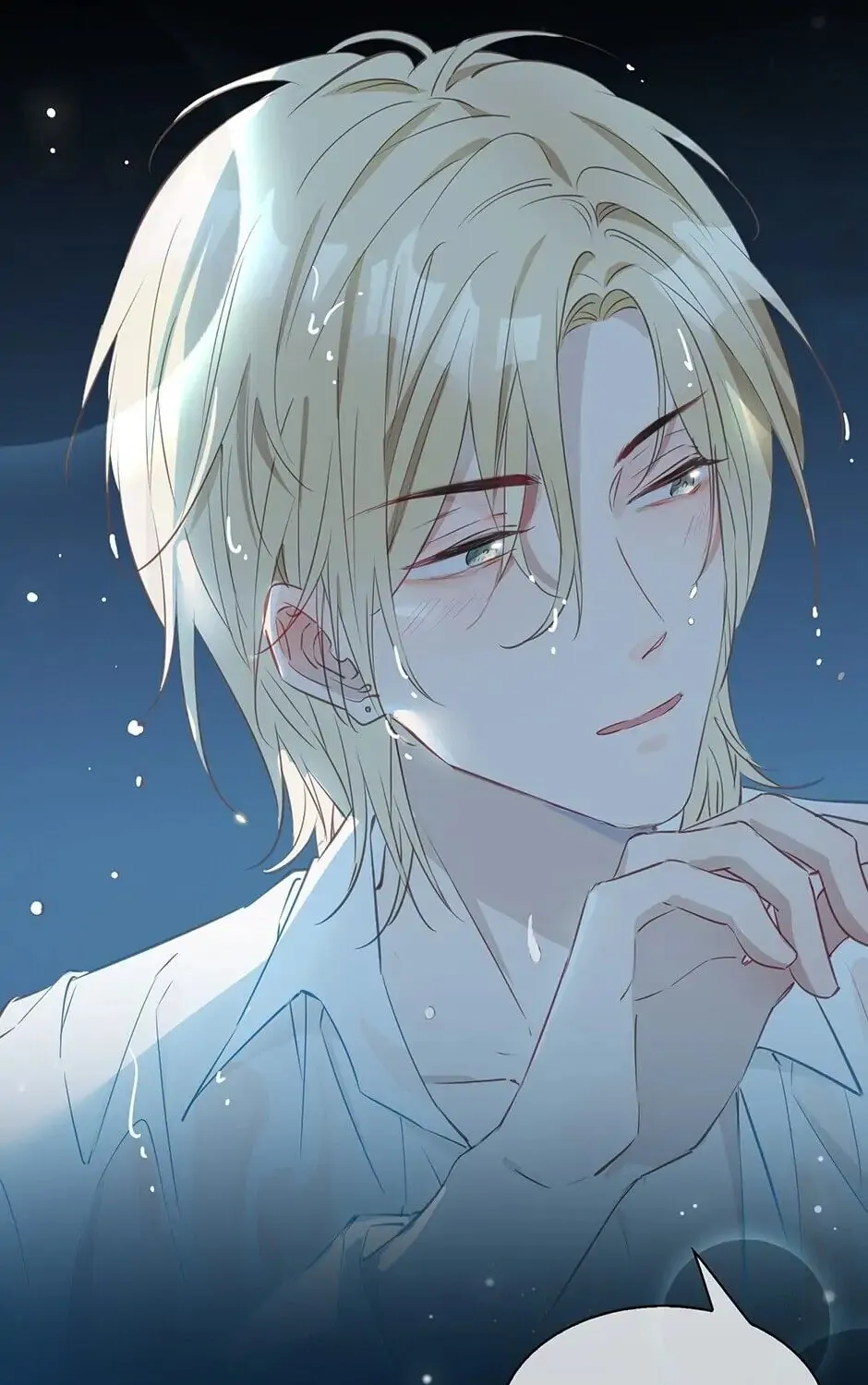 The Royal Prince