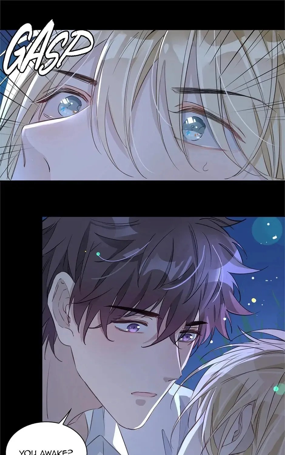 The Royal Prince