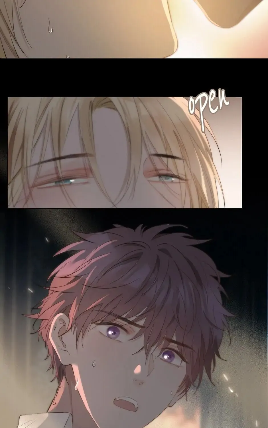 The Royal Prince