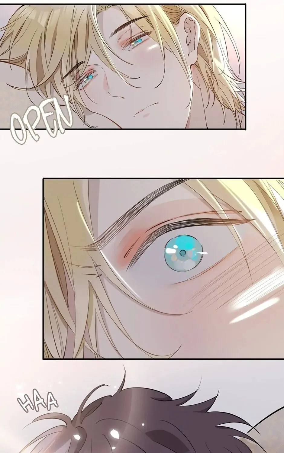 The Royal Prince
