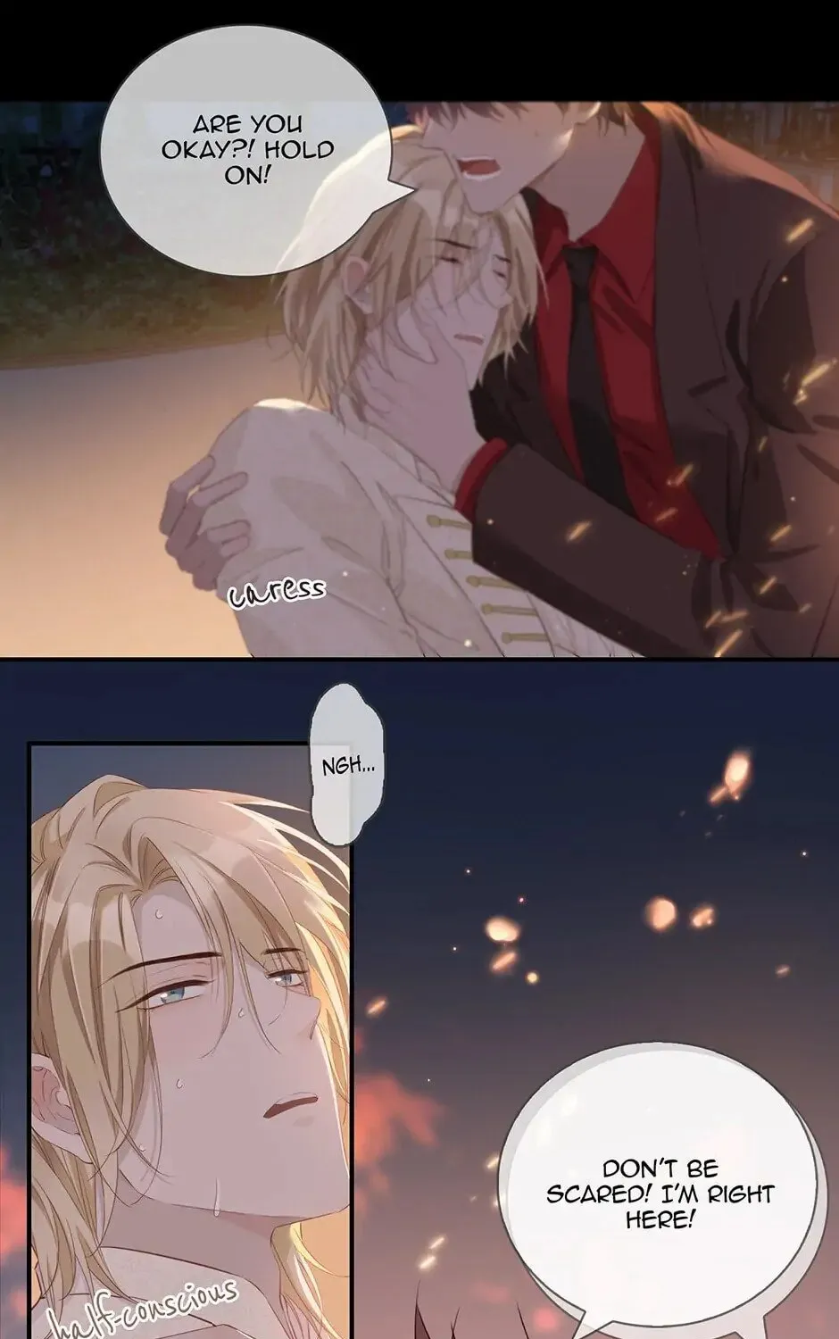 The Royal Prince
